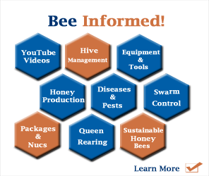 Bee-Informed1_whitebkg_OrngBlue296x250.png