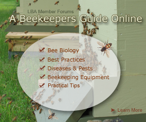 A-Beekeepers-Guide-3_101816.png